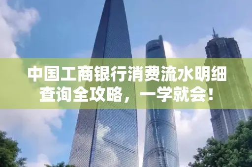 中国工商银行消费流水明细查询全攻略，一学就会！