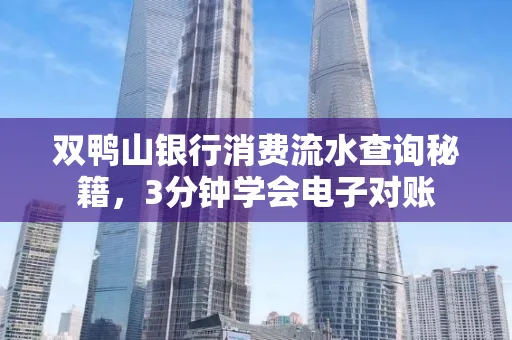 双鸭山银行消费流水查询秘籍，3分钟学会电子对账