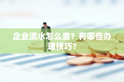 企业流水怎么查？有哪些办理技巧？