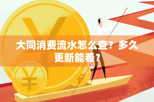 大同消费流水怎么查？多久更新能看？